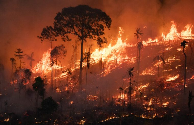 Brasil bate recorde de incêndios florestais entre janeiro e abril de 2024