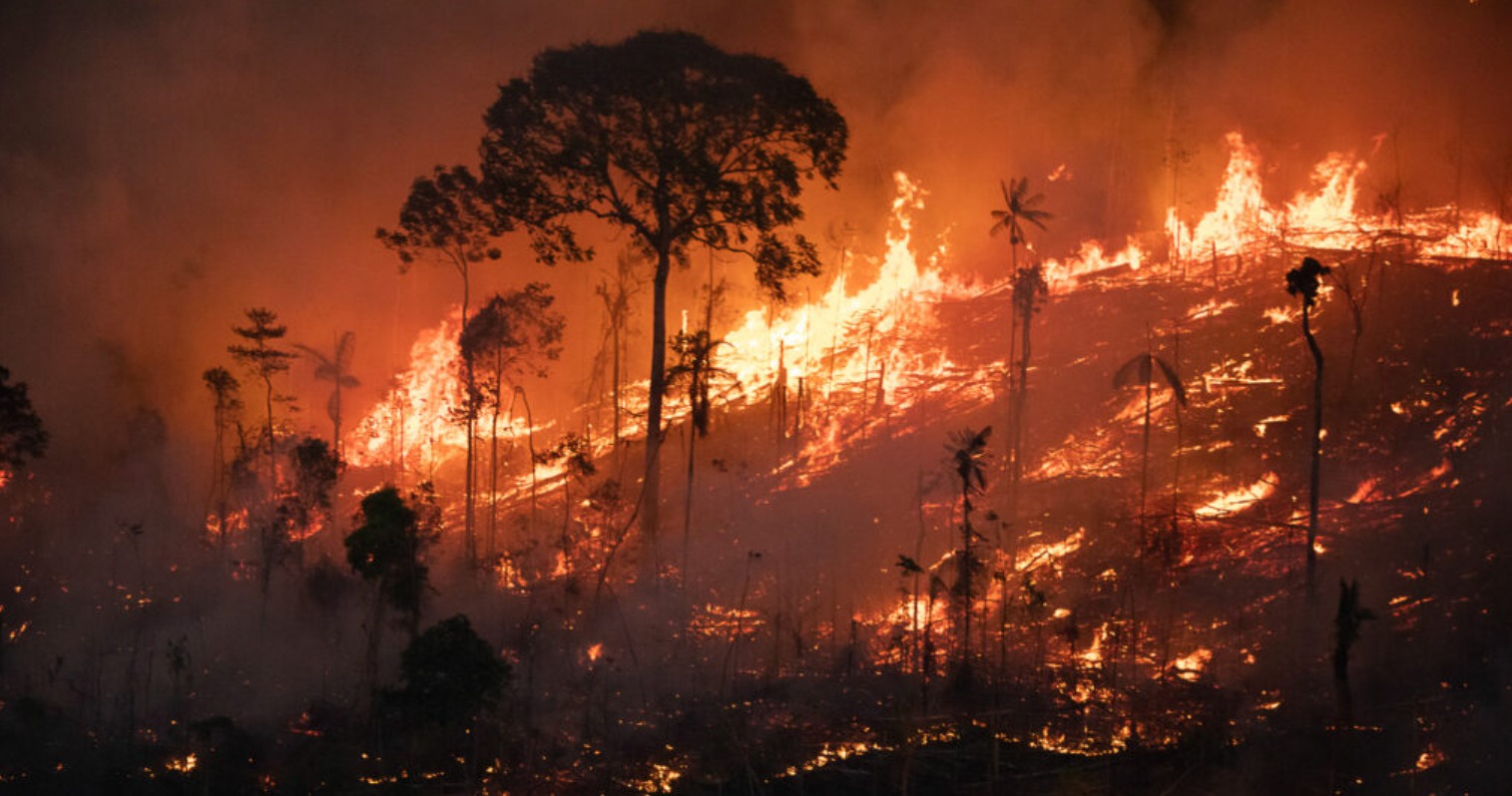 Brasil bate recorde de incêndios florestais entre janeiro e abril de 2024