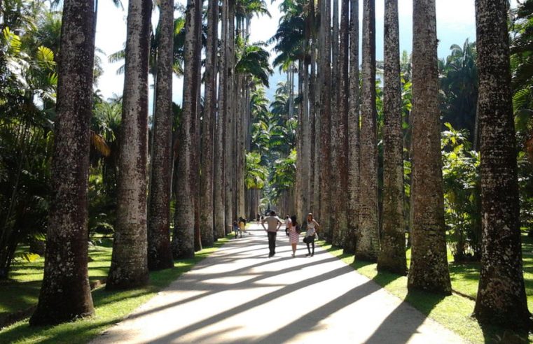 Jardim Botânico do Rio celebra Semana da Mata Atlântica com diversas atividades