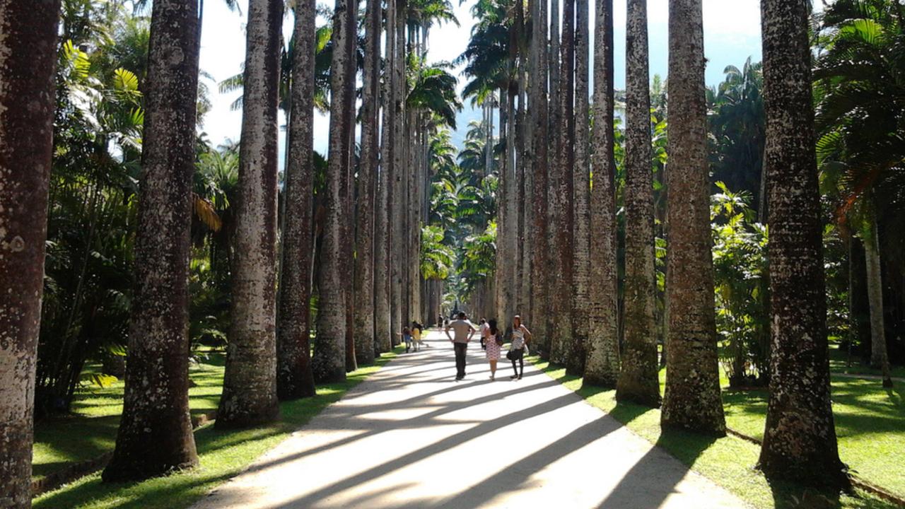 Jardim Botânico do Rio celebra Semana da Mata Atlântica com diversas atividades