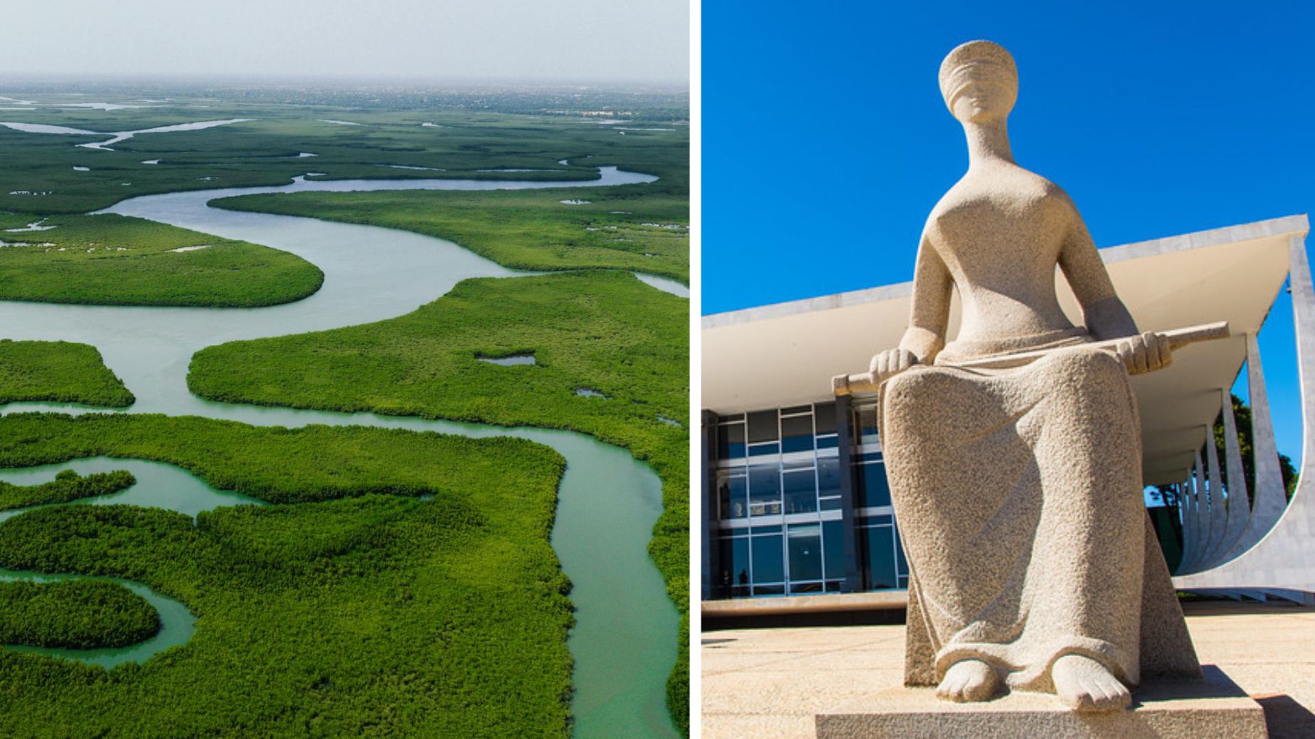 Dia Mundial do Meio Ambiente: Presidente do STF inaugura exposição sobre Amazônia e destaca Brasil como potência ecológica global