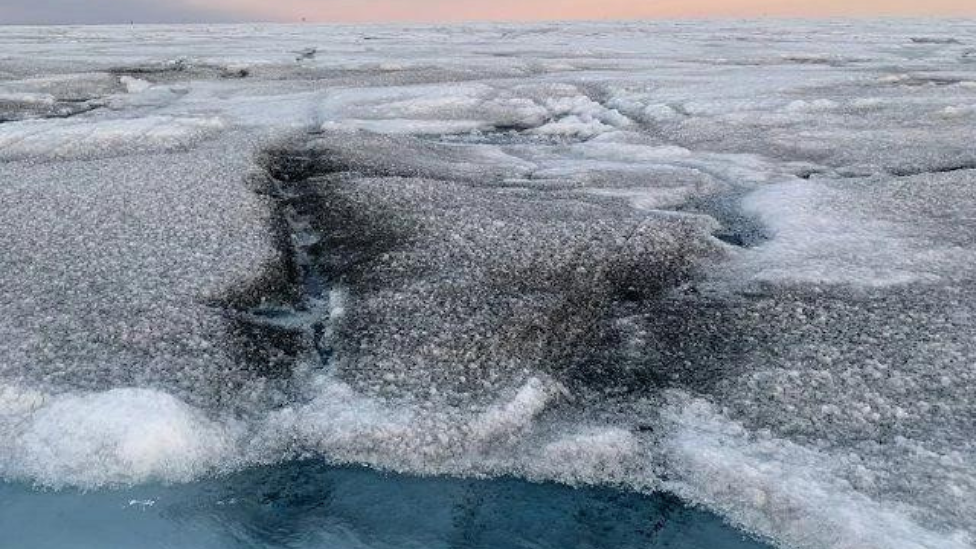 Vírus gigantes são encontrados em camada de gelo na Groenlândia e estudiosos acreditam ser uma forma de controlar derretimento