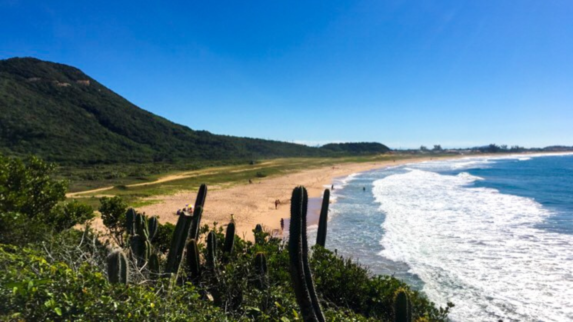 Bandeira Azul: praias do Rio e Região dos Lagos concorrem a prêmio internacional