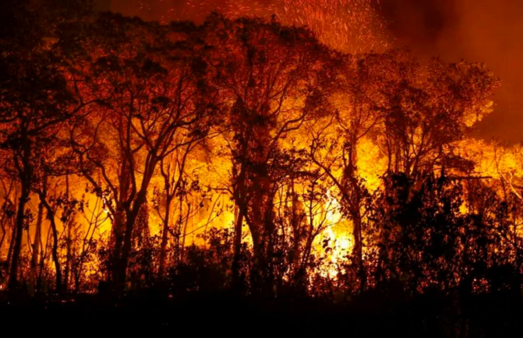 MS declara estado de emergência nas cidades afetadas pelos incêndios no Pantanal