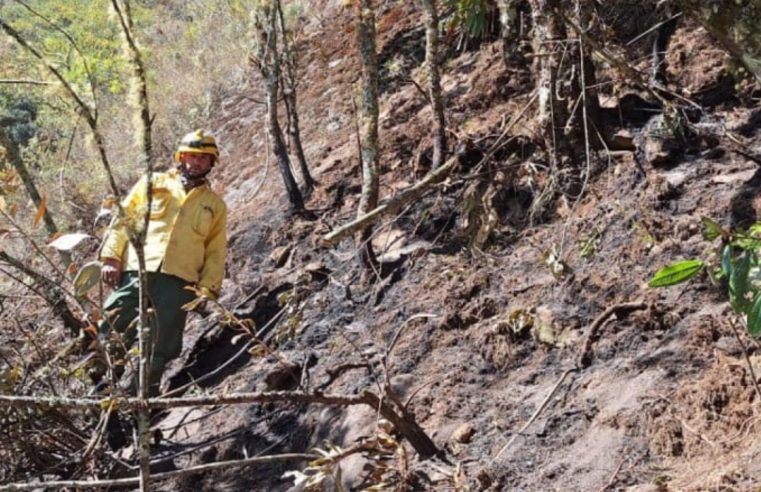 Visitação da Parte Alta do Parque Nacional do Itatiaia é reaberta após nove dias fechada