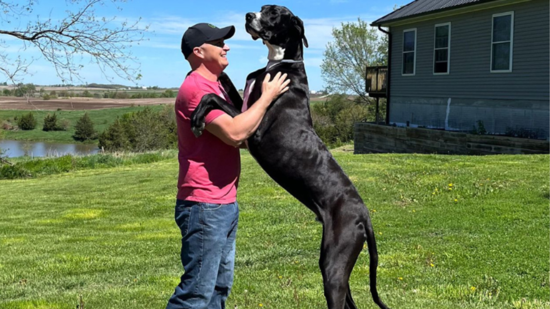 Livro dos recordes: cachorro mais alto do mundo é reconhecido pelo ‘Guinness’