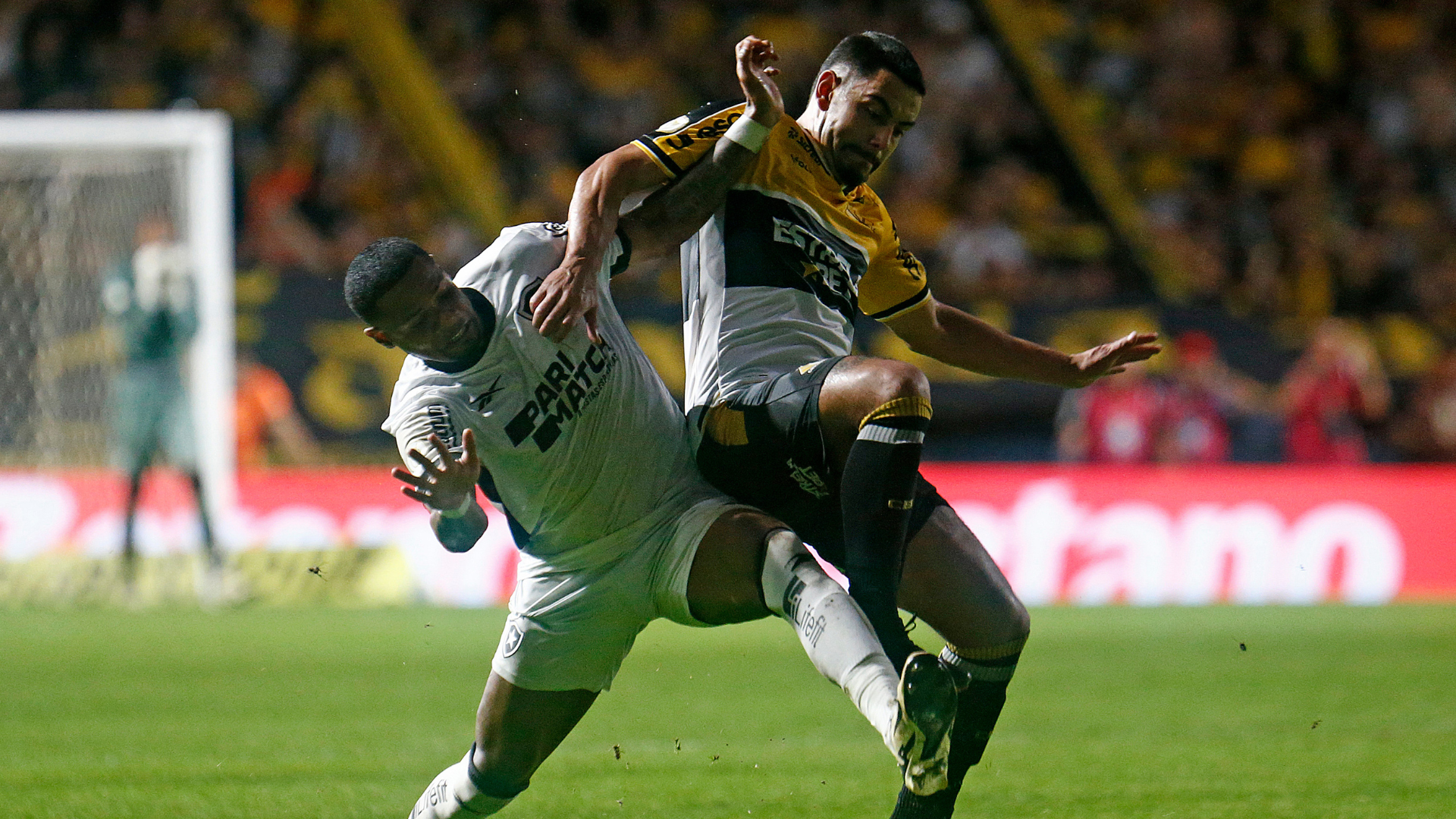 Brasileirão: Botafogo perde de 2 x 1 para o Criciúma neste sábado (21)