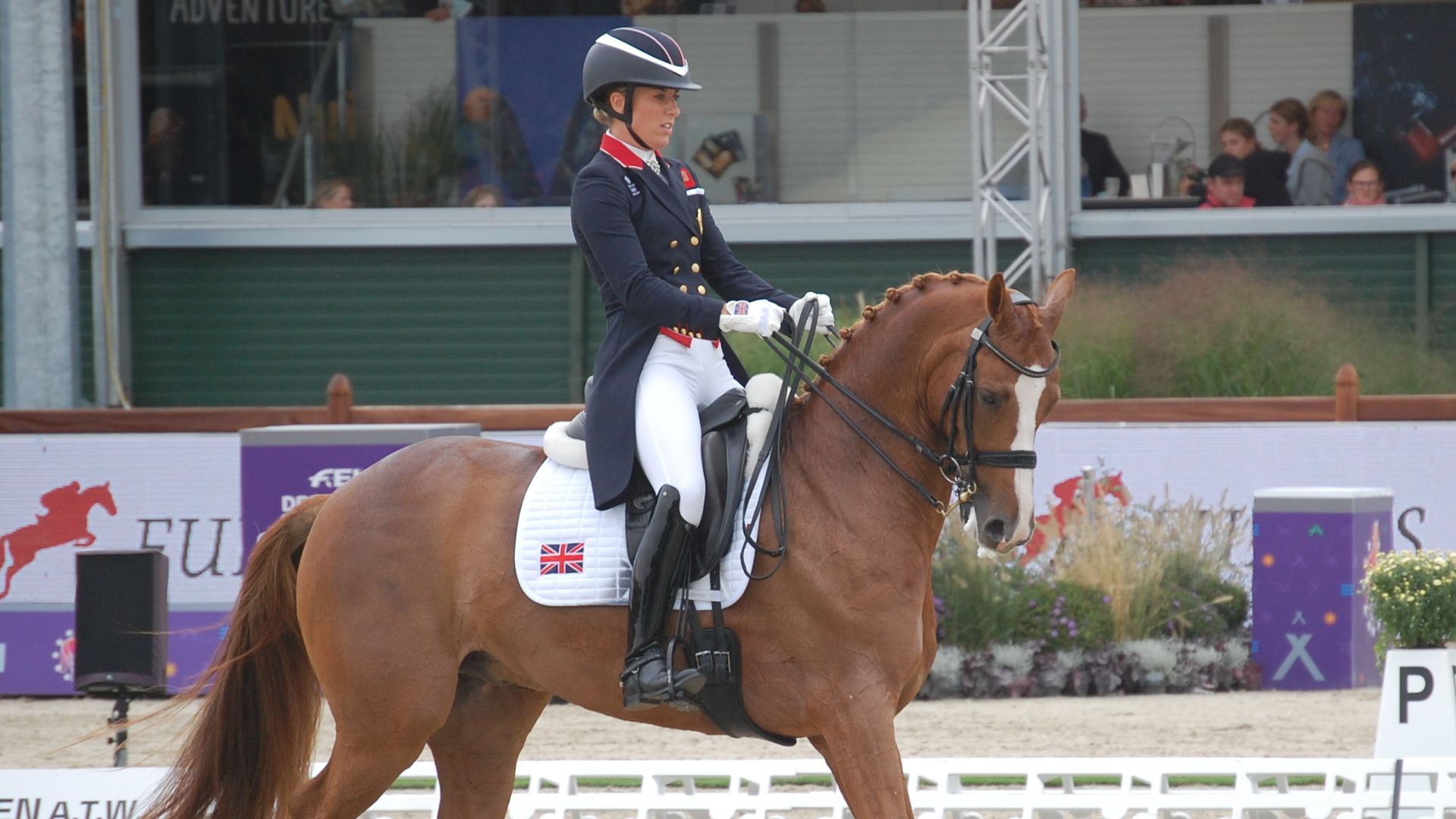 Governo inglês retira apoio financeiro de campeã olímpica flagrada maltratando cavalo