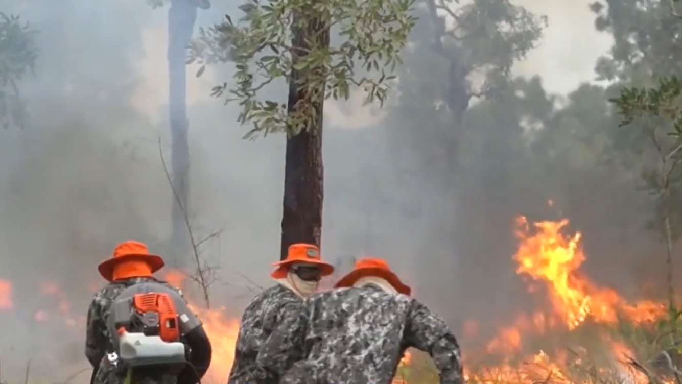 Frente fria reduz chamas no Pantanal, que teve 5% do bioma consumido pelo fogo