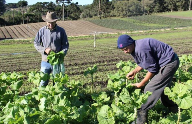 Pronaf investe mais de R$ 270 milhões na agricultura familiar do Rio de Janeiro