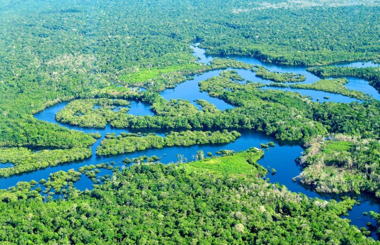 Governo destina investimento de R$ 500 milhões para ciência e tecnologia na Amazônia