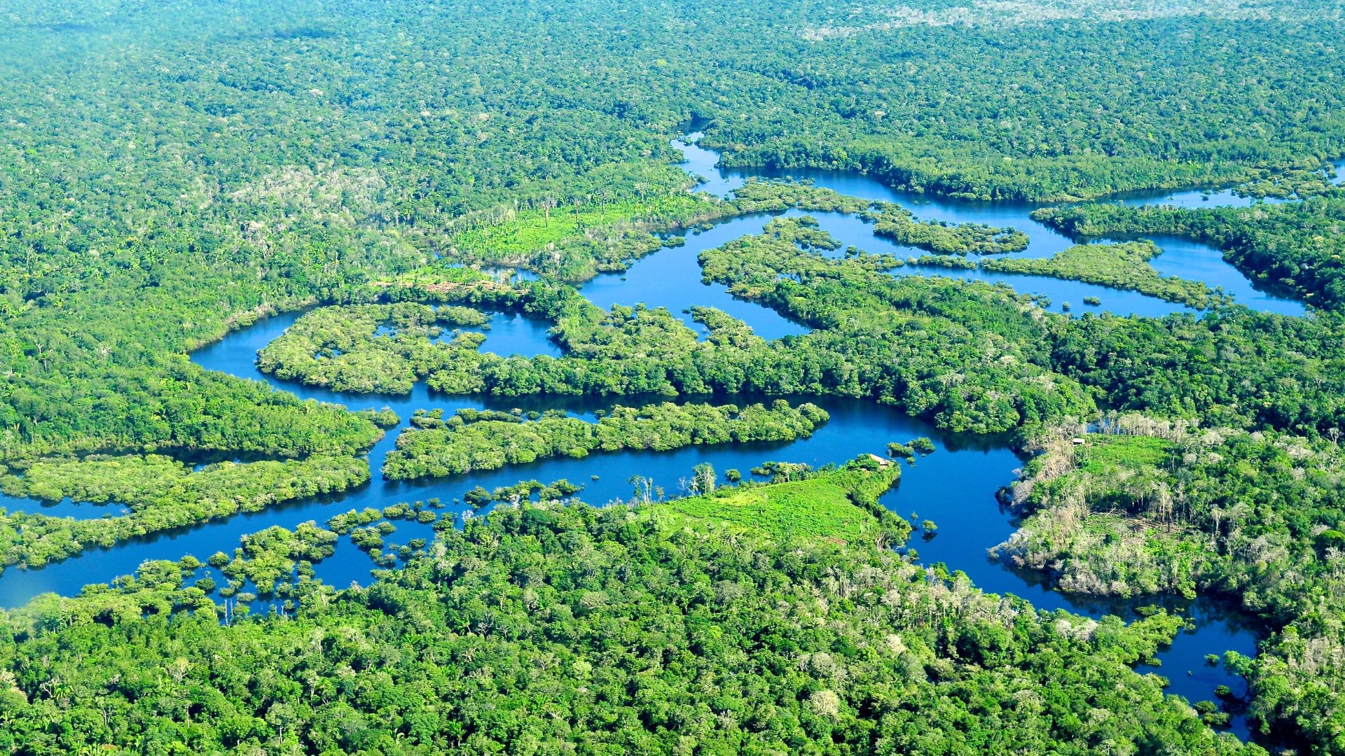 Governo destina investimento de R$ 500 milhões para ciência e tecnologia na Amazônia