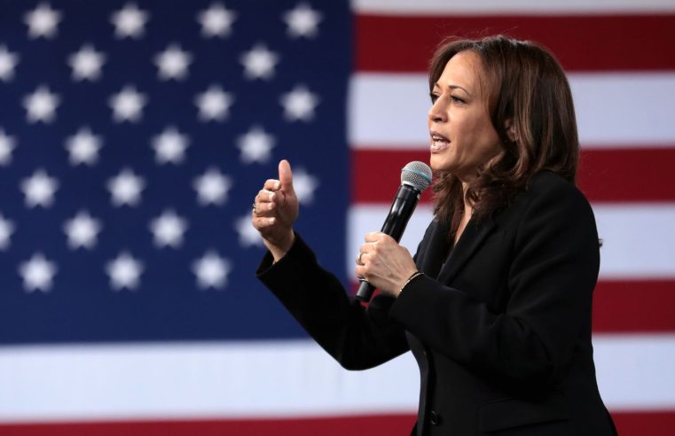 EUA: Democratas aprovam Kamala Harris como candidata à presidência nas eleições de novembro