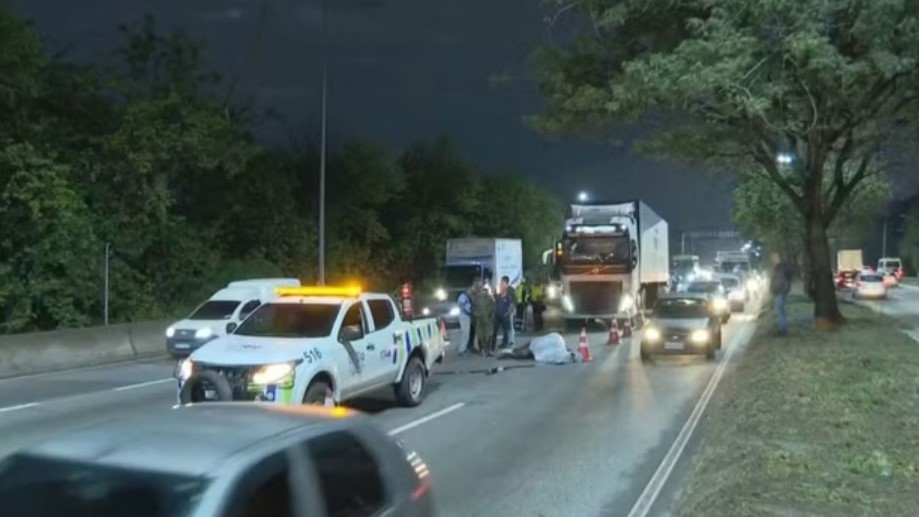 Égua do Exército foge e morre atropelada na Avenida Brasil