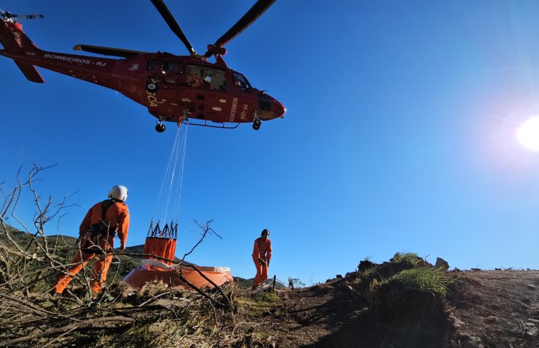 Bombeiros combatem mais de 14 mil incêndios florestais no Rio em 2024