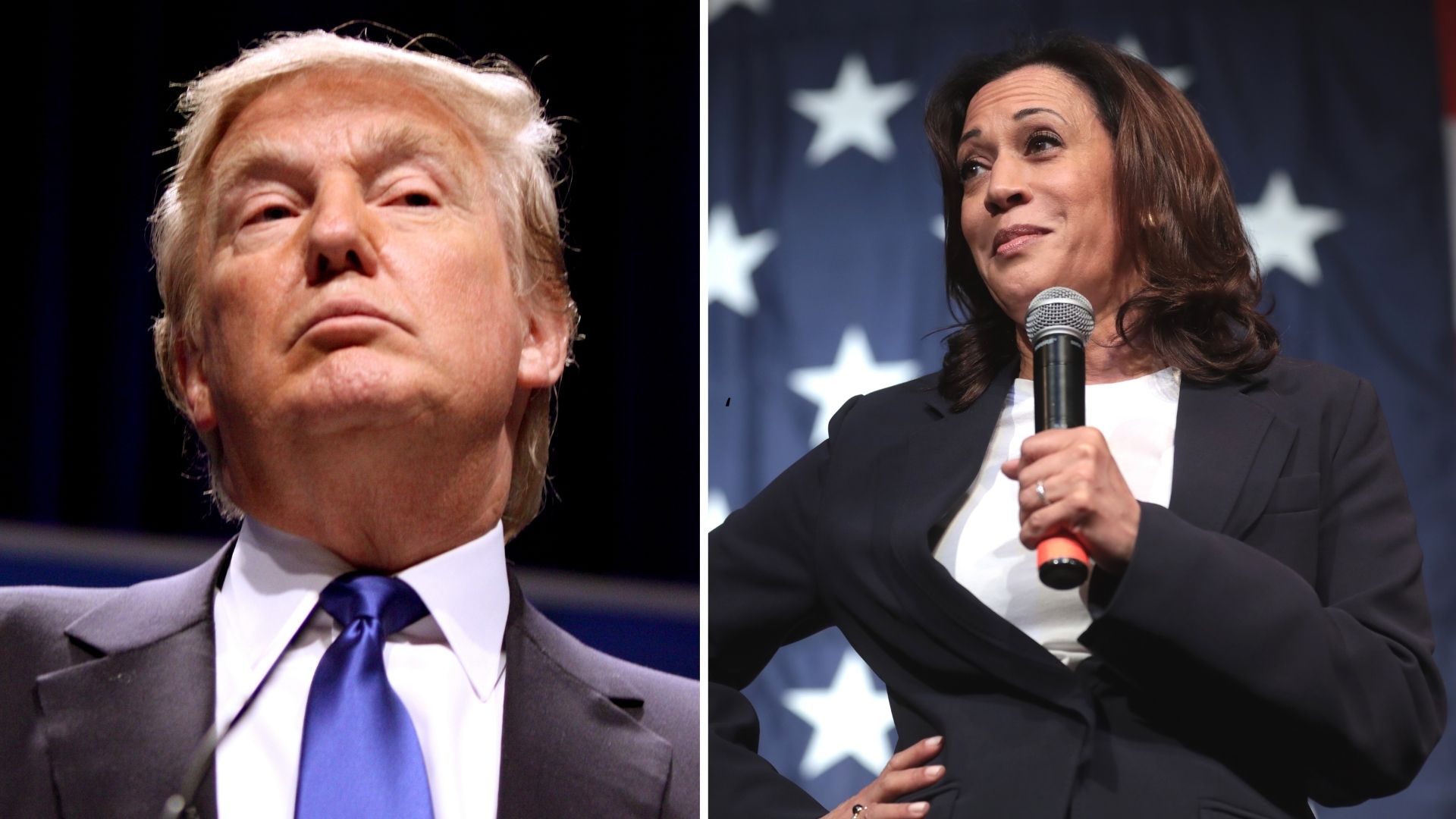 EUA: Kamala e Trump empatam em primeira urna apurada em New Hampshire