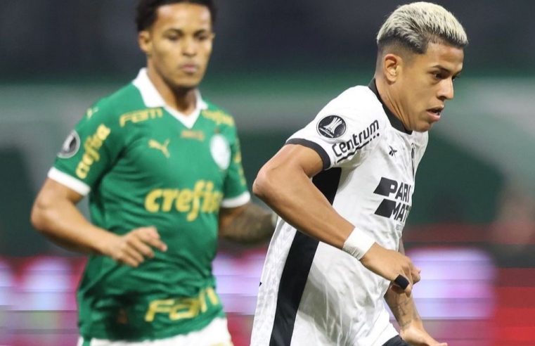 Sufoco! Botafogo deixa Palmeiras igualar jogo em oito minutos mas consegue classificação na Libertadores