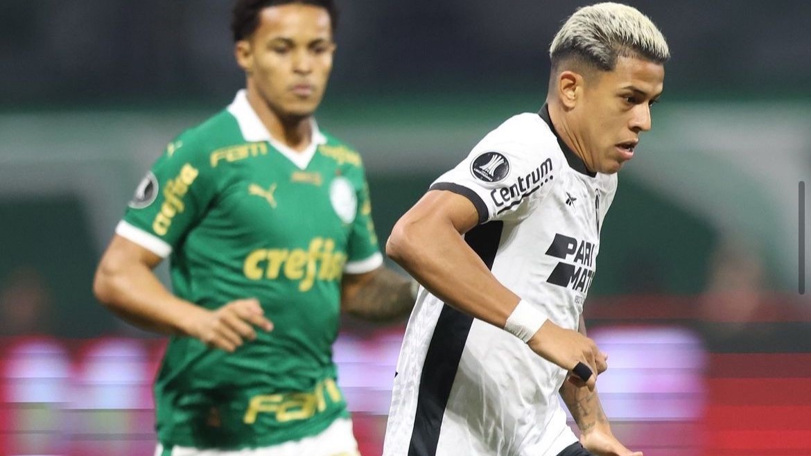 Sufoco! Botafogo deixa Palmeiras igualar jogo em oito minutos mas consegue classificação na Libertadores