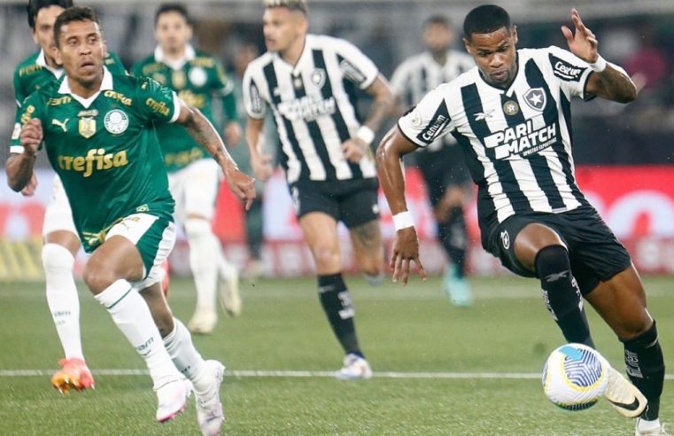 Botafogo x Palmeiras: Time eliminado terá apenas o Brasileirão para disputar nessa temporada