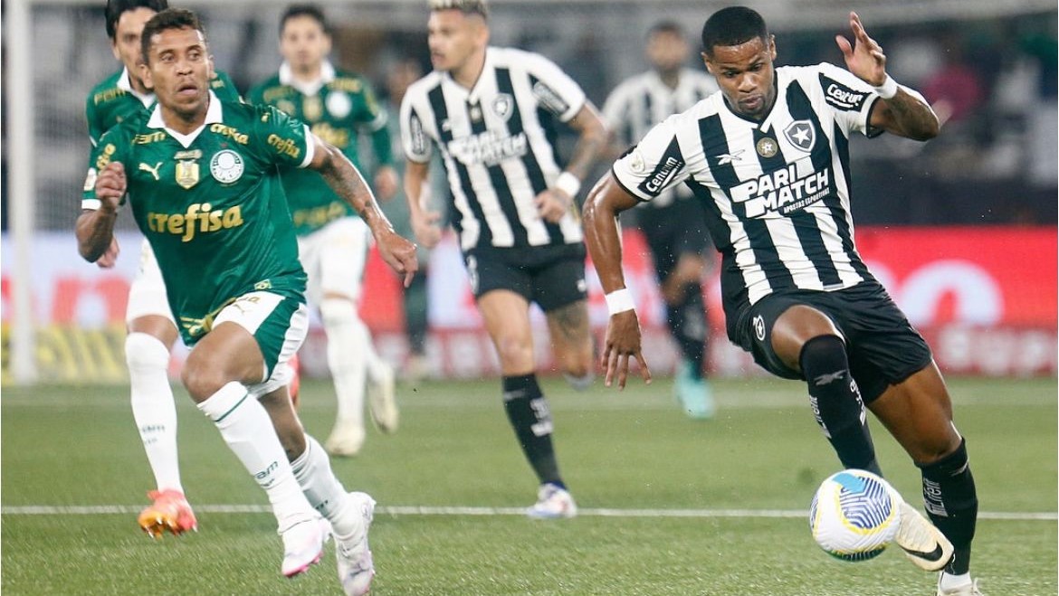 Botafogo x Palmeiras: Time eliminado terá apenas o Brasileirão para disputar nessa temporada