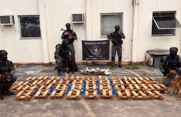 Polícia apreende uma tonelada de maconha dentro de escola municipal