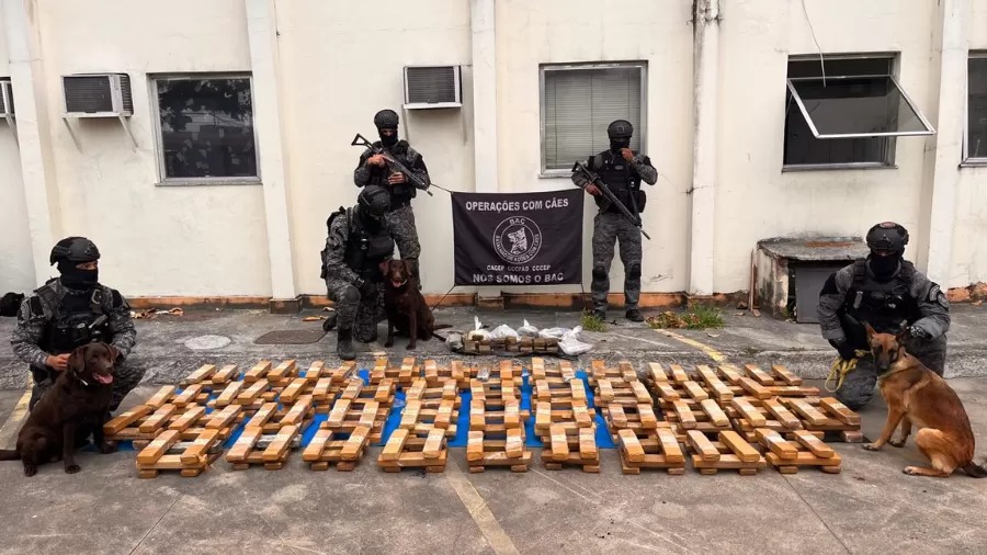 Polícia apreende uma tonelada de maconha dentro de escola municipal