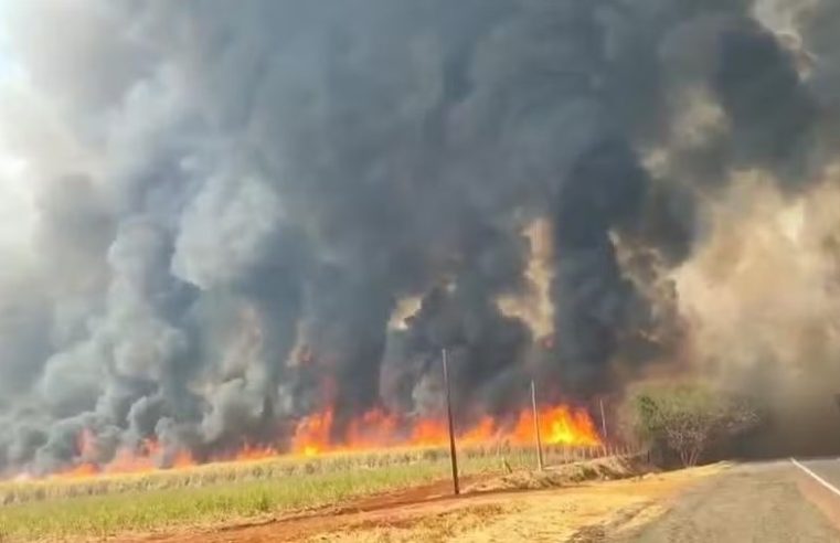 Incêndios em Ribeirão Preto fecham escolas nesta segunda-feira (26)