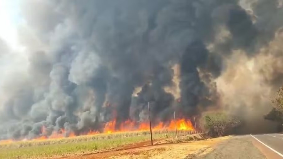 Incêndios em Ribeirão Preto fecham escolas nesta segunda-feira (26)