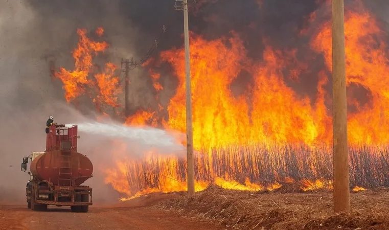 Governo Federal quer pena de 18 anos de prisão para quem provocar incêndio florestal