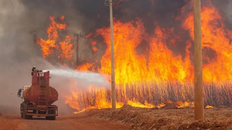 Governo Federal quer pena de 18 anos de prisão para quem provocar incêndio florestal