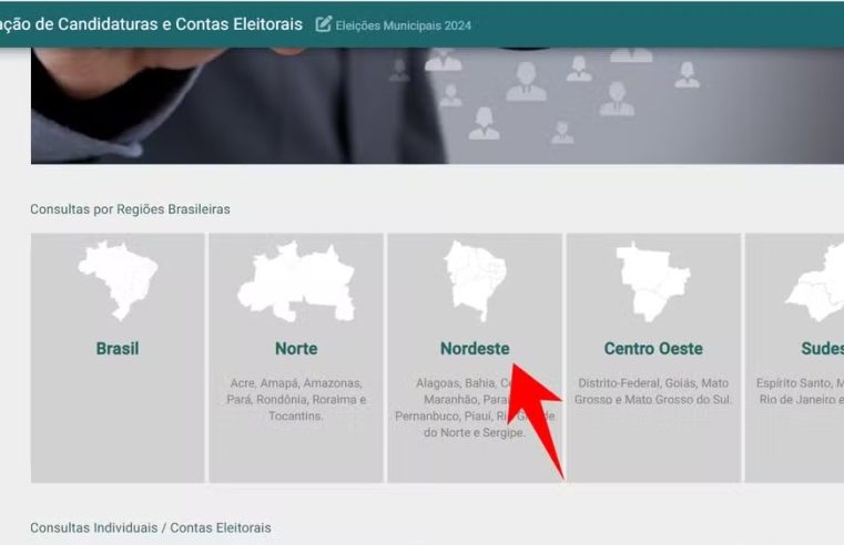 ‘DivulgaCand’: TSE cria site para divulgar lista de candidatos a vereador