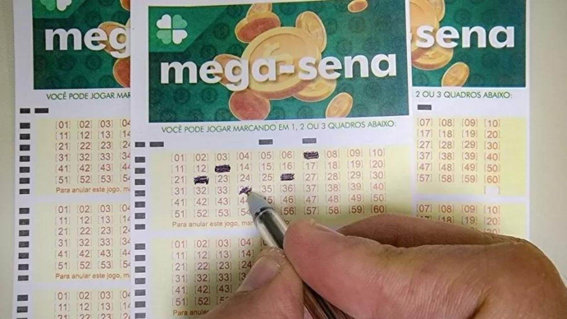 Mega-Sena 2.775: aposta em Timbaúba (PE) fatura R$ 81,4 milhões