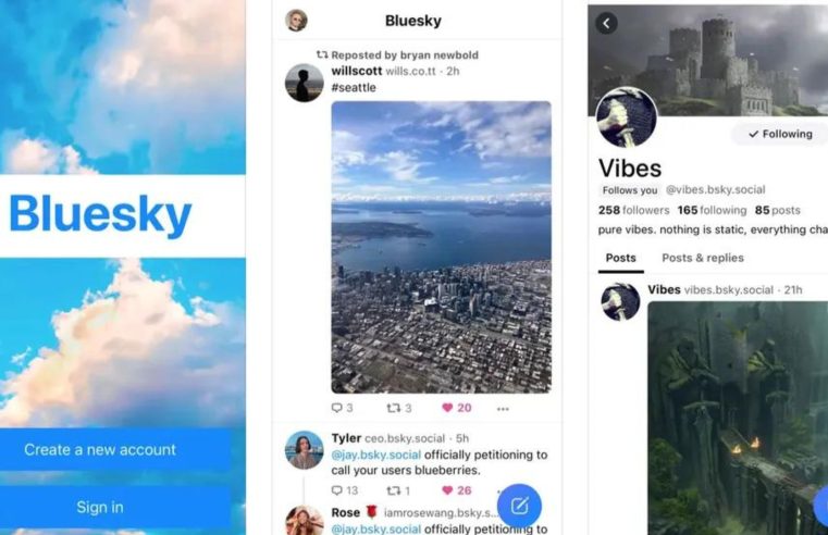 Bluesky lança recurso de vídeos e atende demanda dos usuários brasileiros