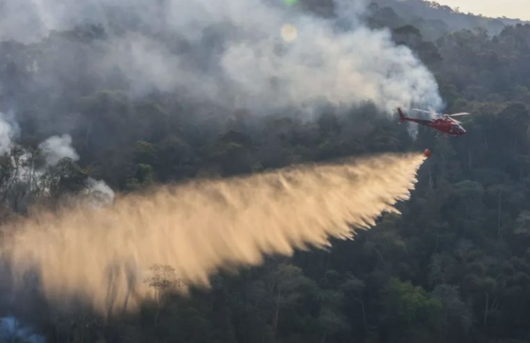 Unidades de conservação do RJ são reabertas após redução no número de incêndios