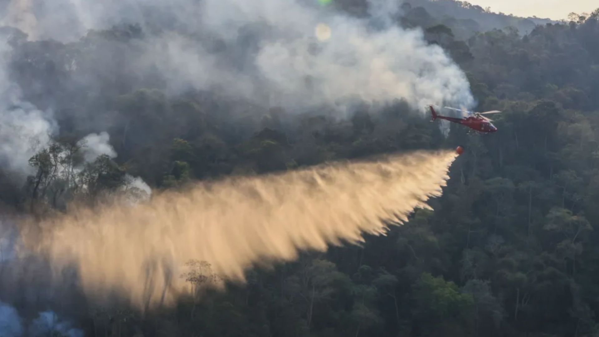 Unidades de conservação do RJ são reabertas após redução no número de incêndios