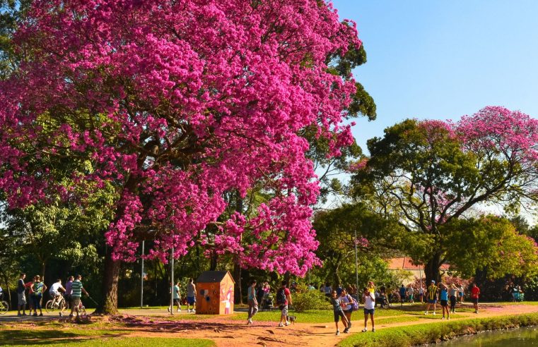 Primeira semana de Primavera traz altas temperaturas em maior parte do país