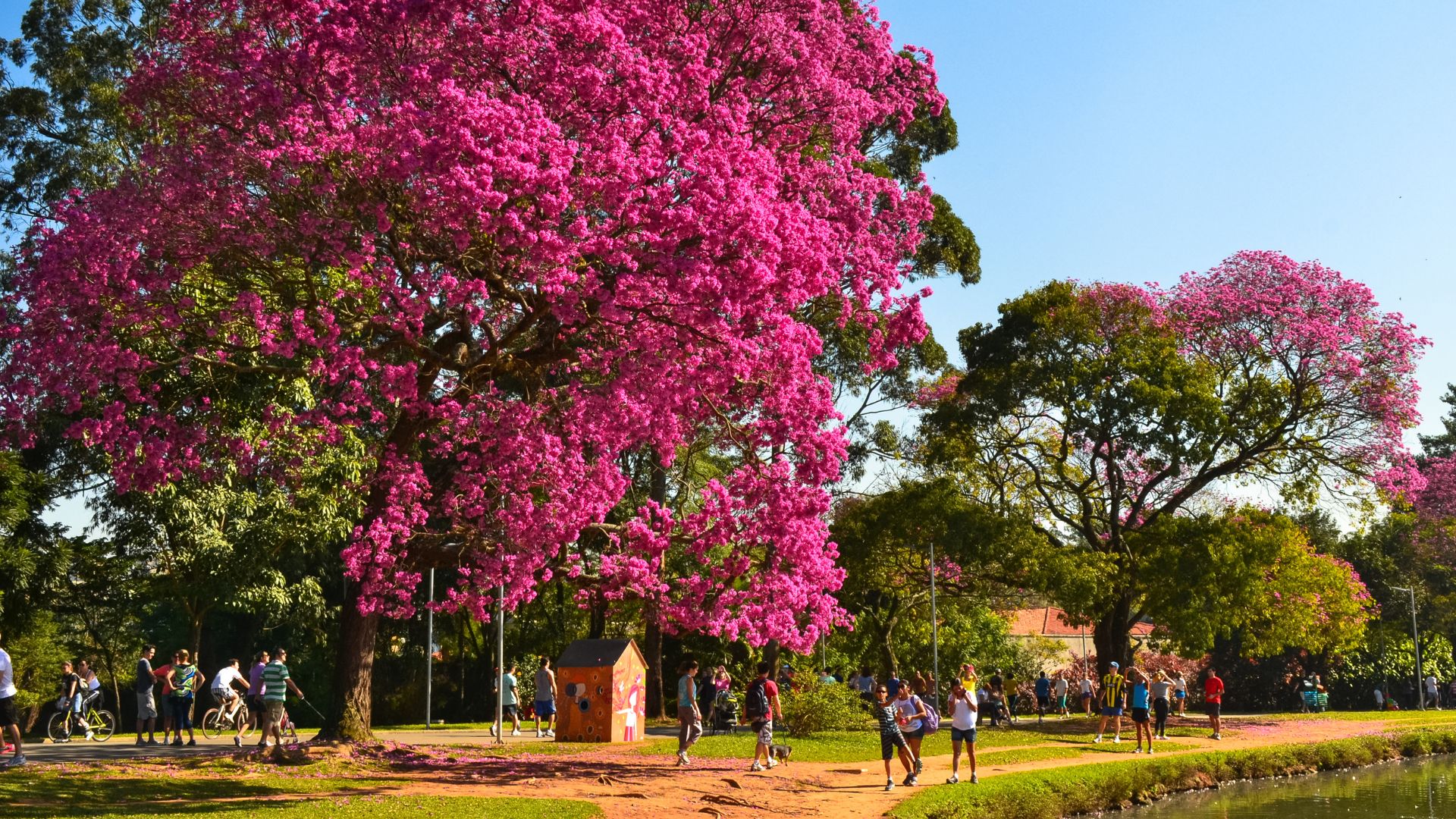 Primeira semana de Primavera traz altas temperaturas em maior parte do país