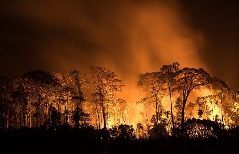 Inpe revela que Amazonas teve pior agosto de queimadas em 26 anos