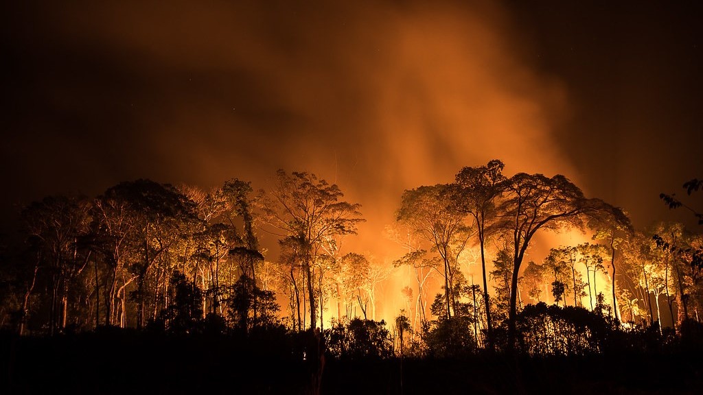 Inpe revela que Amazonas teve pior agosto de queimadas em 26 anos