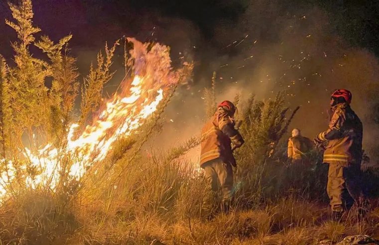 Estado do RJ teve 460 focos de incêndio em apenas um dia