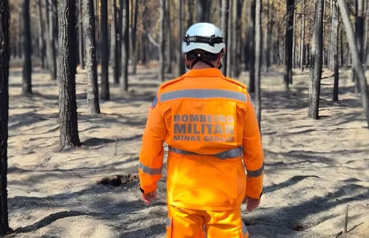 Floresta da Faber-Castell que dá origens aos lápis de cor é atingida em queimadas