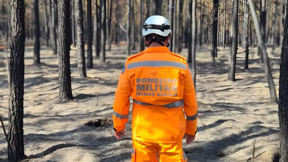 Floresta da Faber-Castell que dá origens aos lápis de cor é atingida em queimadas