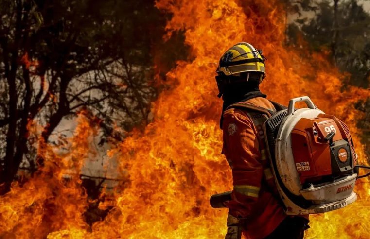 Polícia estima que incêndio provocado por dono de chácara tenha devastado 200 mil m de vegetação