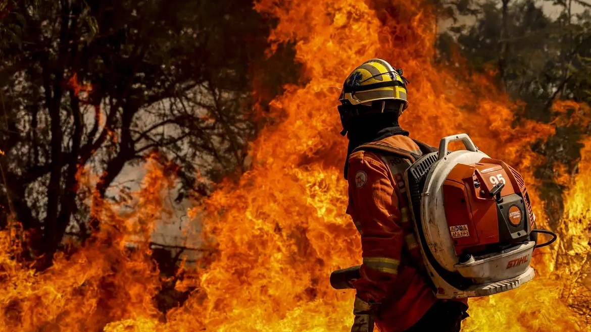 Polícia estima que incêndio provocado por dono de chácara tenha devastado 200 mil m de vegetação