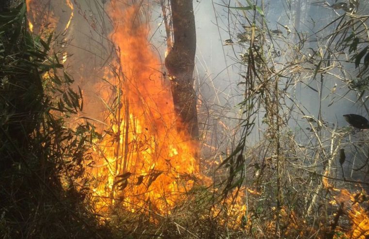 União de esforços busca conter incêndio na Serra dos Órgãos no RJ