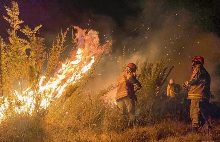 Brasil registra 77,3 mil incêndios em setembro, sendo país com maior número de queimadas do mundo