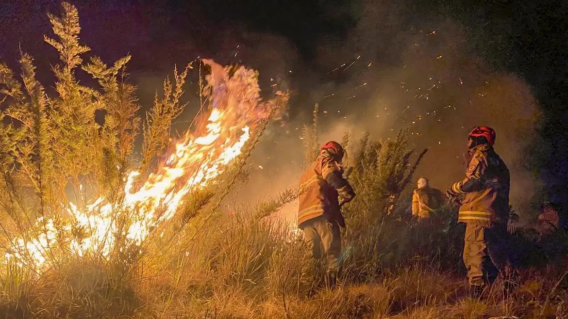 ‘Dia do Fogo’: Ibama suspeita que Rio tenha tido data marcada para realização de incêndios intencionais