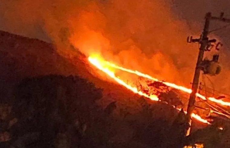 Idoso de 61 anos é preso sob suspeita de causar incêndio que destruiu 1.443 hectares na Serra da Beleza, no interior do Rio