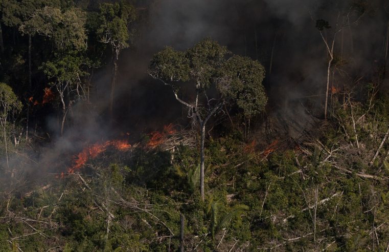 Pesquisa aponta que 91% dos brasileiros acreditam que economia pode ser devastada por crise climática