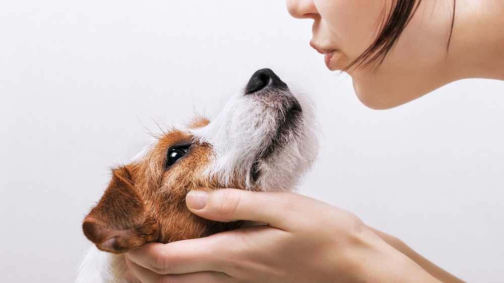 Beijar cães pode aumentar chances de contaminação e potencialmente transmitir doenças para animais